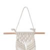 Sword Grass in Ceramic Pot with Macrame Hanging