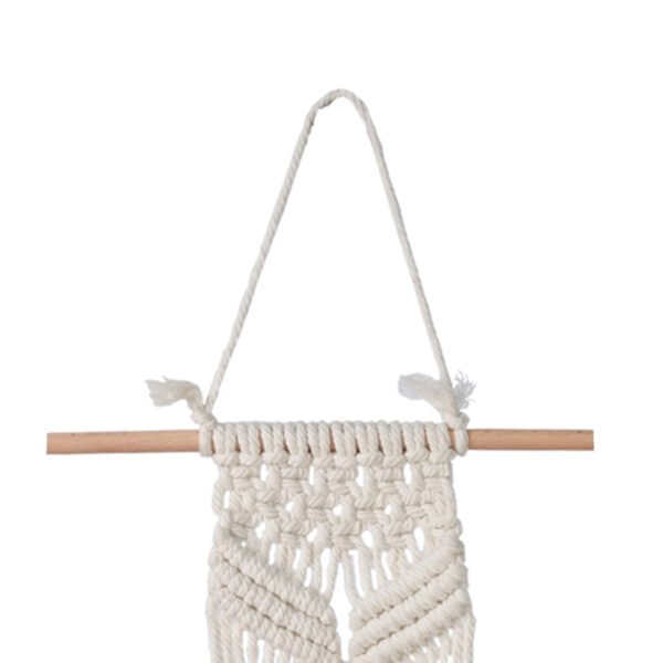 Sword Grass in Ceramic Pot with Macrame Hanging