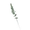 Artificial Eucalyptus Flower Living Room