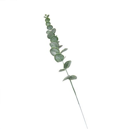 Artificial Eucalyptus Flower Living Room