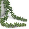 Bean Leaves in Cement Pot