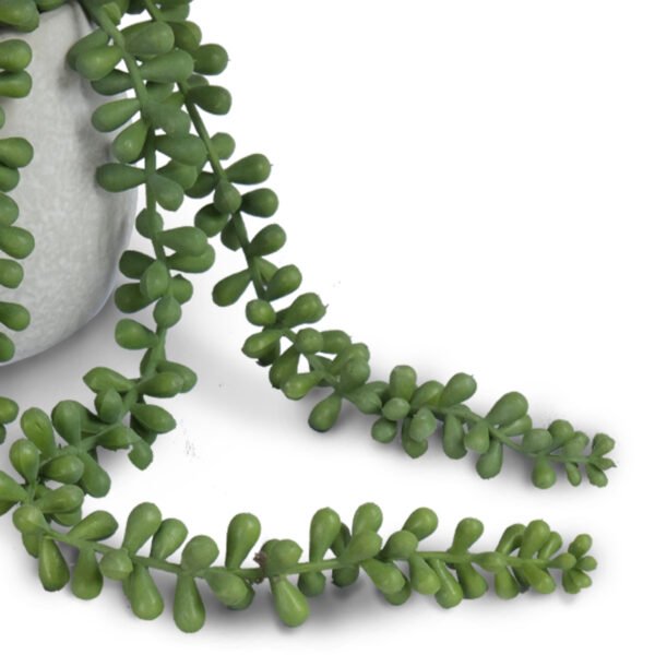 Bean Leaves in Cement Pot