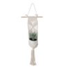 Sword Grass in Ceramic Pot with Macrame Hanging
