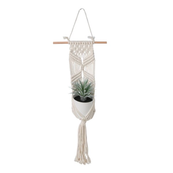 Sword Grass in Ceramic Pot with Macrame Hanging