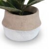 White-Edge Oak Leaves in Cement Pot