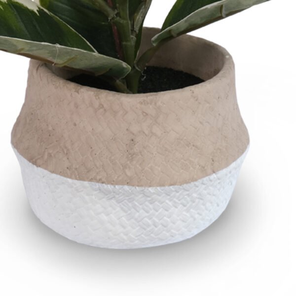White-Edge Oak Leaves in Cement Pot