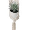 Sword Grass in Ceramic Pot with Macrame Hanging