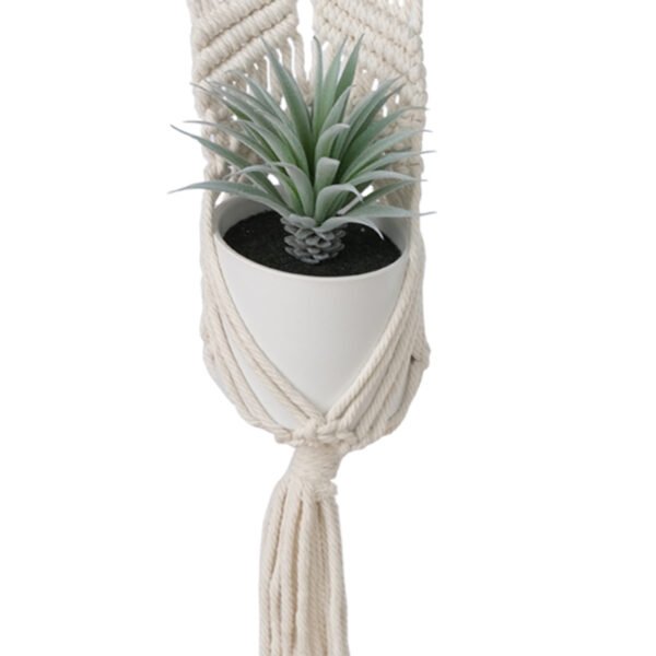Sword Grass in Ceramic Pot with Macrame Hanging