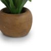 Agave in Paper Mache Pot