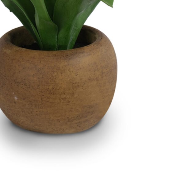 Agave in Paper Mache Pot