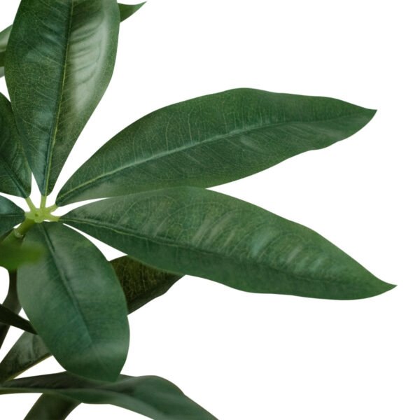 Money Tree 55cm