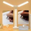 Double Head Lighting LED Rechargeable Desk Lamp