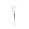 Onion Grass Stem