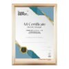 Frame Depot A4 Certificate Frame Black A4